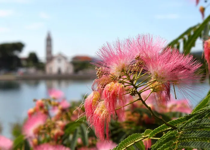 Σπίτι διακοπών Seaside House - 870 Pašman