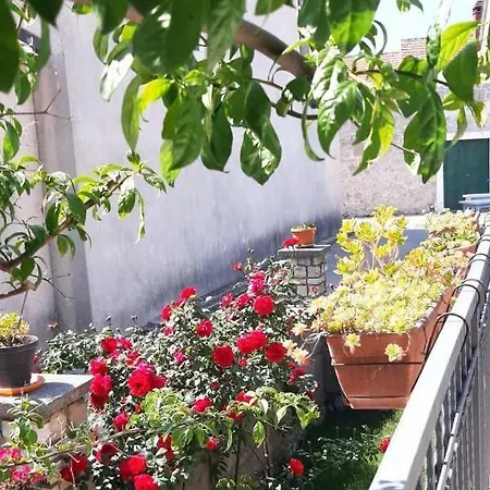 Seaside House - 870 別荘 *