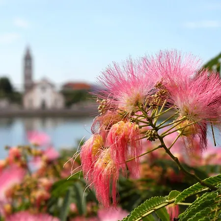 別荘 Seaside House - 870 Pašman