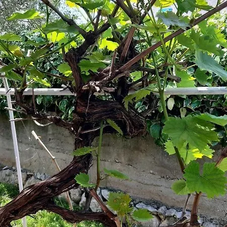 別荘 Seaside House - 870