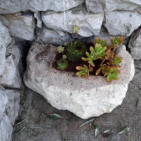 Seaside House - 870 別荘 *