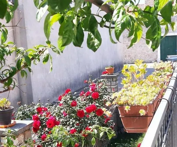 Seaside House - 870 Ferienhaus *