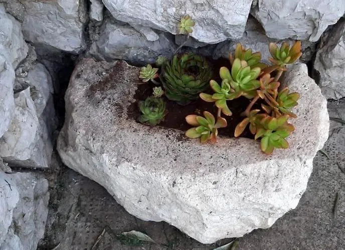 Seaside House - 870 Ferienhaus *